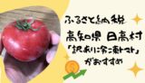 【ふるさと納税】高知県 日高村の「訳あり冷凍トマト」がおすすめ｜冷凍だけど財布も心も温まる