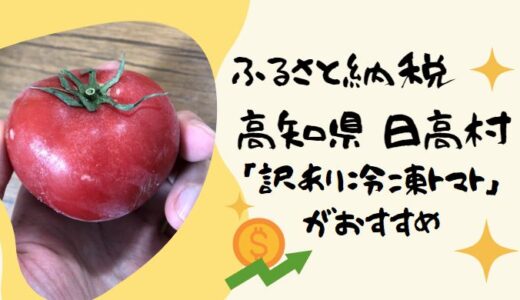 【ふるさと納税】高知県 日高村の「訳あり冷凍トマト」で物価高対策