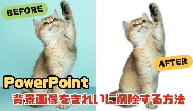 【PowerPoint】画像の背景をきれいに削除する方法 ～猫ミーム～