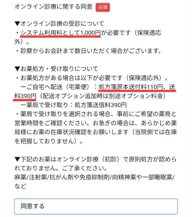 デジスマ診療 システム利用料