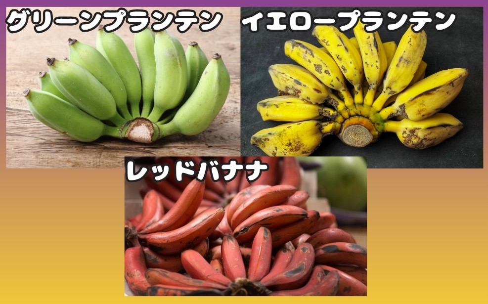 加熱用バナナ 種類