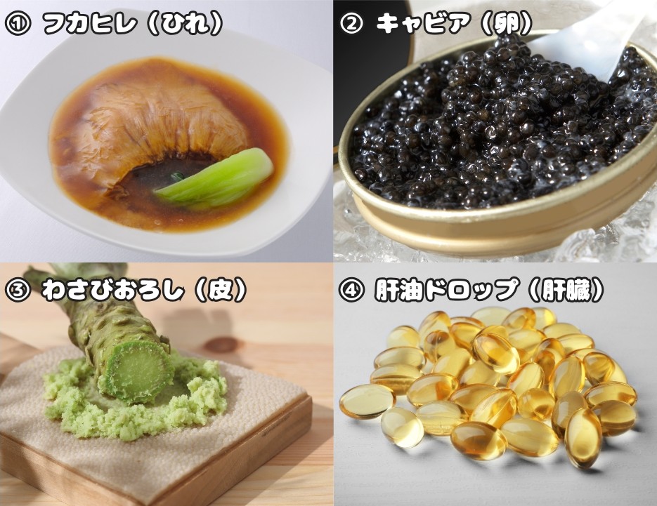 他のサメの使われ方