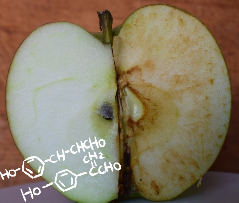 トリメチルアミンオキシド:酸化の腐敗を遅らせる